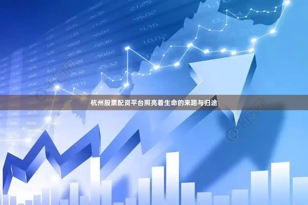杭州股票配资平台照亮着生命的来路与归途