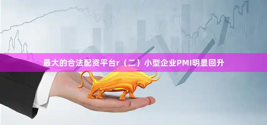 最大的合法配资平台r（二）小型企业PMI明显回升